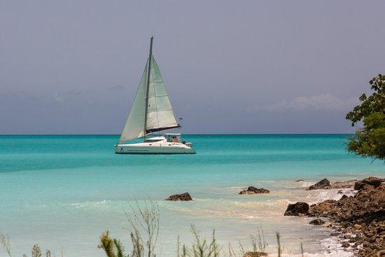 Tropical Catamaran Sailing Day Tours