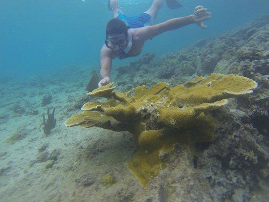 Antigua + 39 Tour - Day Tours